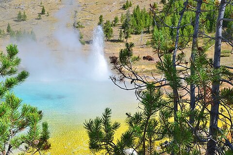 Image of Yellowstone National Park